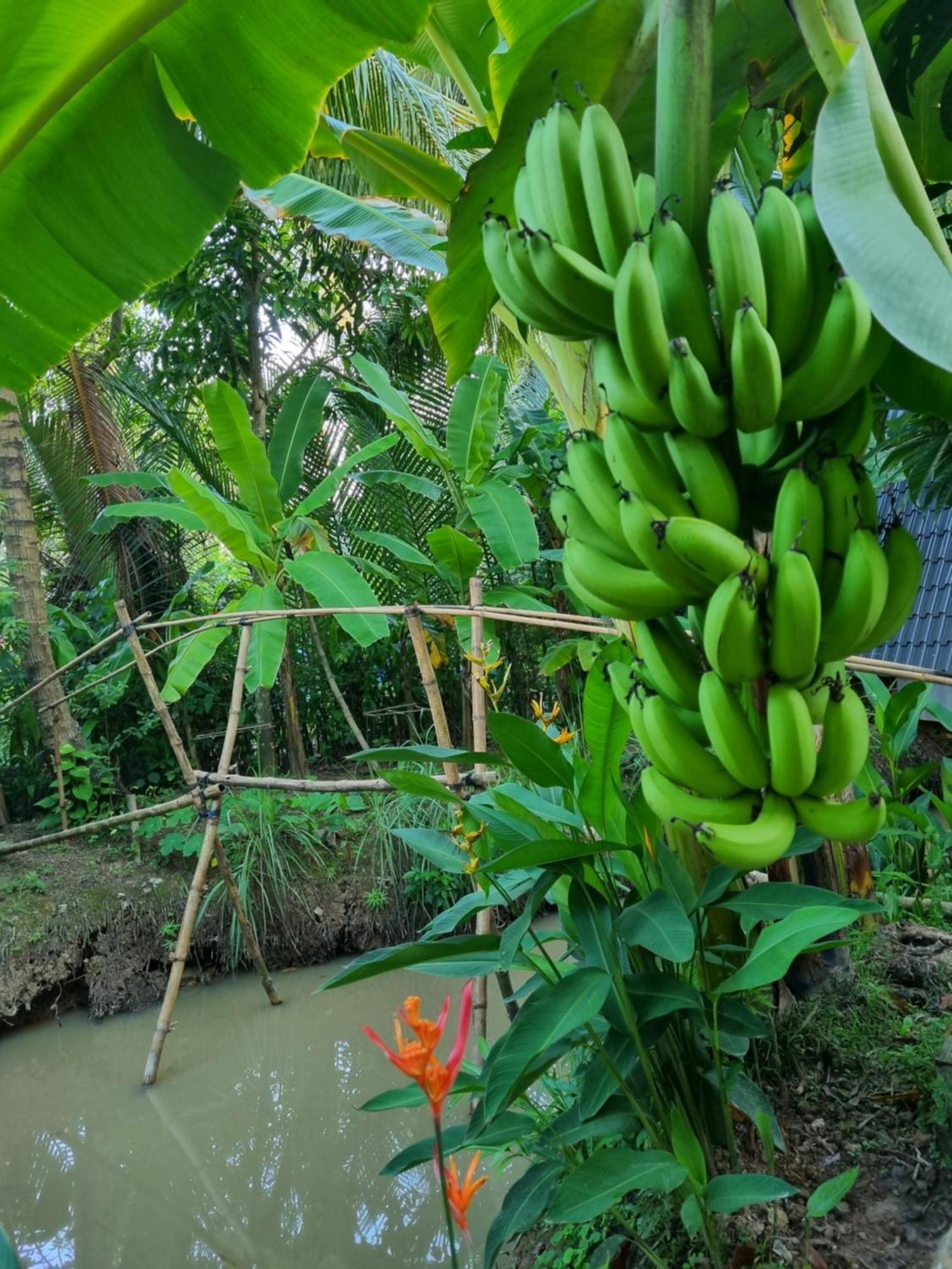 Homestay Nam Ham Luong Ben Tre Экстерьер фото